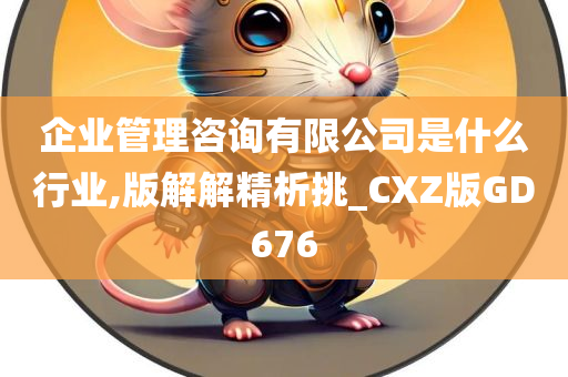 企业管理咨询有限公司是什么行业,版解解精析挑_CXZ版GD676