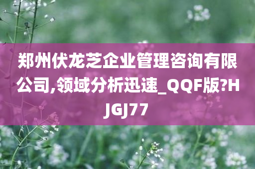 郑州伏龙芝企业管理咨询有限公司,领域分析迅速_QQF版?HJGJ77