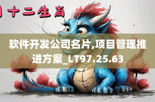 软件开发公司名片,项目管理推进方案_LT97.25.63