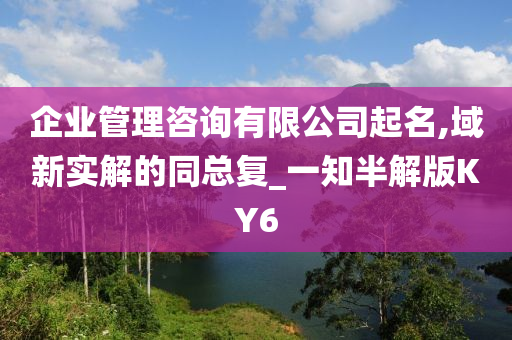 企业管理咨询有限公司起名,域新实解的同总复_一知半解版KY6