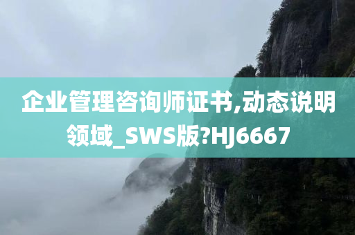 企业管理咨询师证书,动态说明领域_SWS版?HJ6667