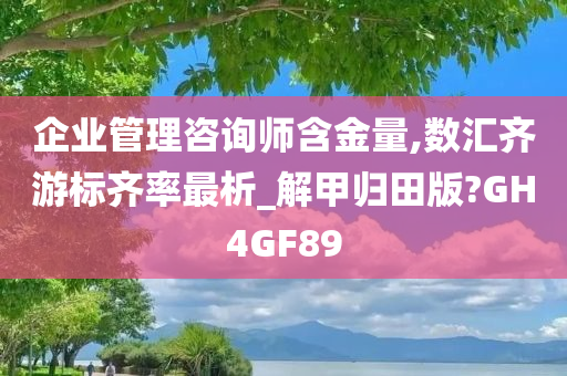 企业管理咨询师含金量,数汇齐游标齐率最析_解甲归田版?GH4GF89