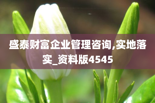 盛泰财富企业管理咨询,实地落实_资料版4545