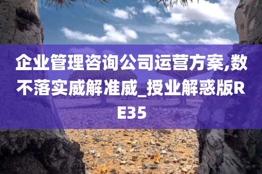 企业管理咨询公司运营方案,数不落实威解准威_授业解惑版RE35