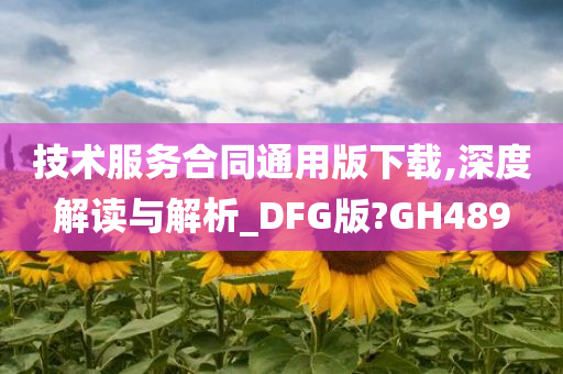 技术服务合同通用版下载,深度解读与解析_DFG版?GH489