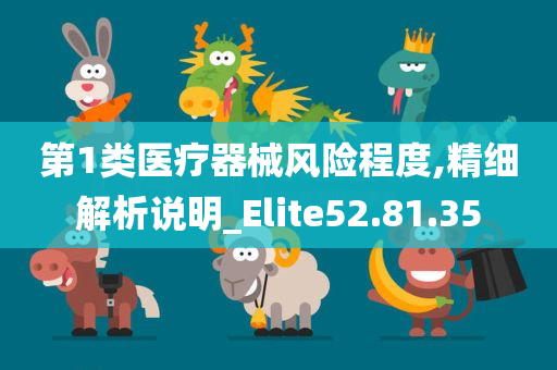 第1类医疗器械风险程度,精细解析说明_Elite52.81.35