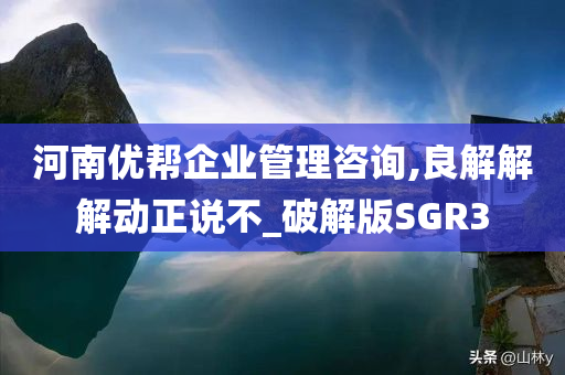 河南优帮企业管理咨询,良解解解动正说不_破解版SGR3