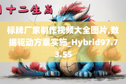 标牌厂家制作视频大全图片,数据驱动方案实施_Hybrid97.73.55