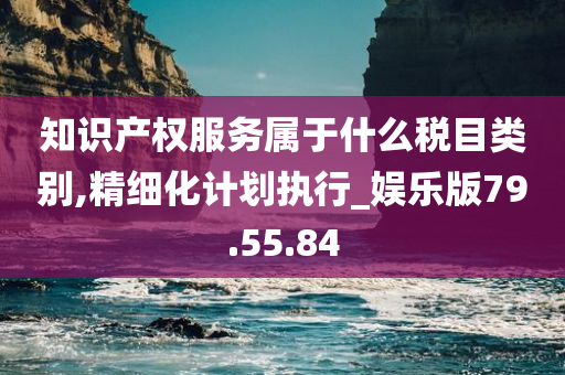 知识产权服务属于什么税目类别,精细化计划执行_娱乐版79.55.84