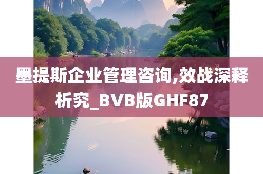 墨提斯企业管理咨询,效战深释析究_BVB版GHF87