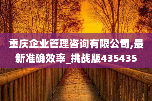 重庆企业管理咨询有限公司,最新准确效率_挑战版435435