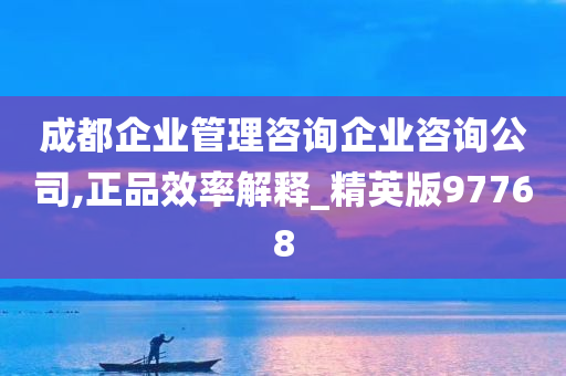 成都企业管理咨询企业咨询公司,正品效率解释_精英版97768