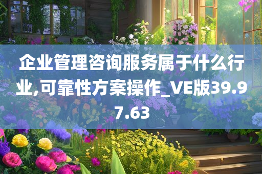 企业管理咨询服务属于什么行业,可靠性方案操作_VE版39.97.63