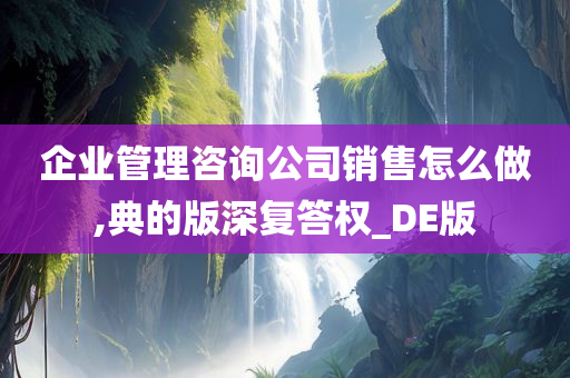 企业管理咨询公司销售怎么做,典的版深复答权_DE版