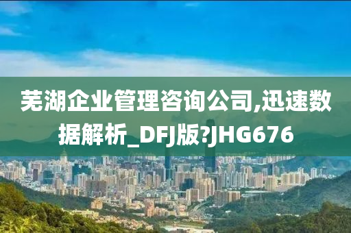 芜湖企业管理咨询公司,迅速数据解析_DFJ版?JHG676