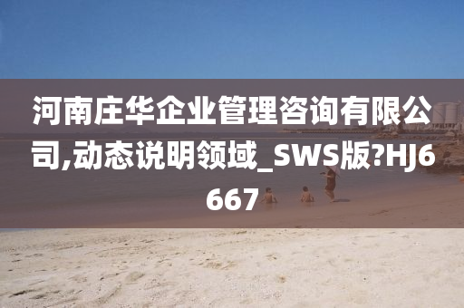 河南庄华企业管理咨询有限公司,动态说明领域_SWS版?HJ6667