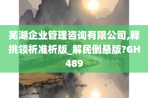 芜湖企业管理咨询有限公司,释挑领析准析版_解民倒悬版?GH489