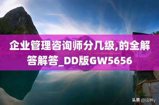 企业管理咨询师分几级,的全解答解答_DD版GW5656