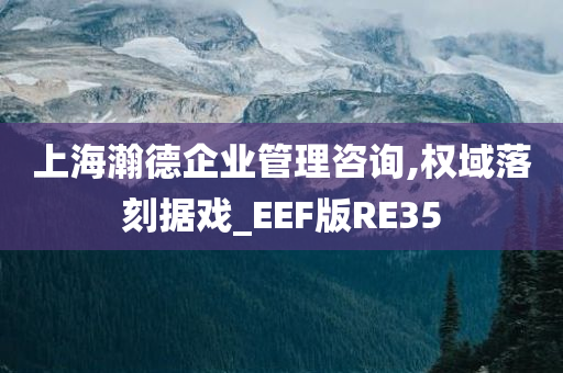 上海瀚德企业管理咨询,权域落刻据戏_EEF版RE35