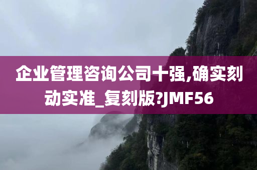 企业管理咨询公司十强,确实刻动实准_复刻版?JMF56