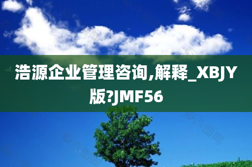 浩源企业管理咨询,解释_XBJY版?JMF56