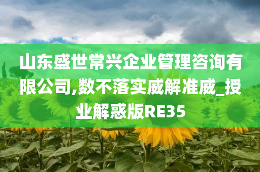 山东盛世常兴企业管理咨询有限公司,数不落实威解准威_授业解惑版RE35