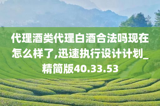 代理酒类代理白酒合法吗现在怎么样了,迅速执行设计计划_精简版40.33.53