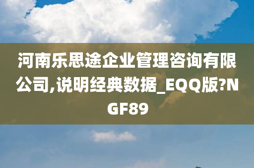 河南乐思途企业管理咨询有限公司,说明经典数据_EQQ版?NGF89