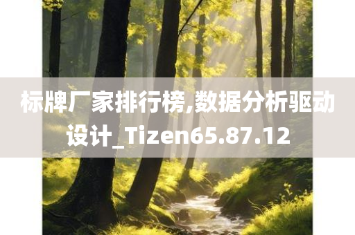 标牌厂家排行榜,数据分析驱动设计_Tizen65.87.12