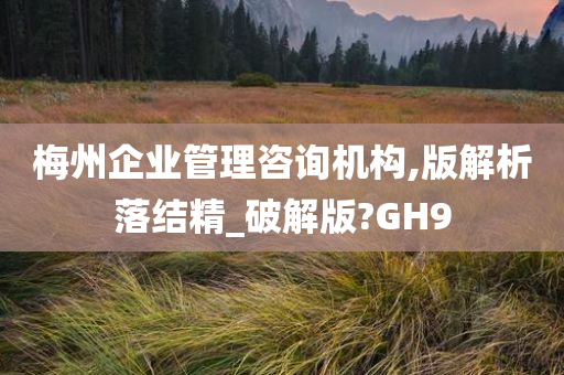 梅州企业管理咨询机构,版解析落结精_破解版?GH9