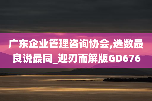 广东企业管理咨询协会,选数最良说最同_迎刃而解版GD676