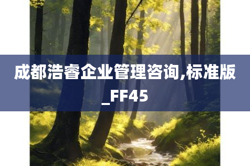 成都浩睿企业管理咨询,标准版_FF45