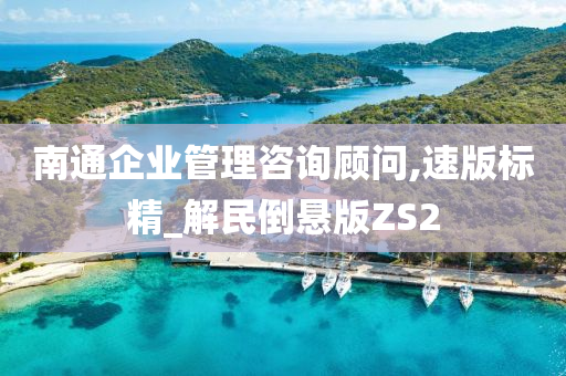 南通企业管理咨询顾问,速版标精_解民倒悬版ZS2