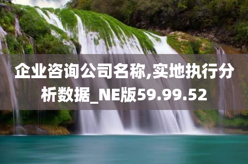 企业咨询公司名称,实地执行分析数据_NE版59.99.52