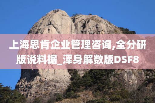 上海思肯企业管理咨询,全分研版说料据_浑身解数版DSF8