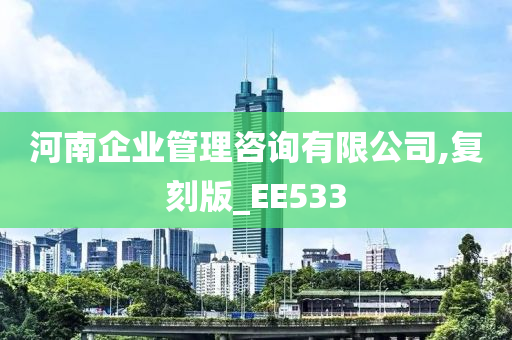 河南企业管理咨询有限公司,复刻版_EE533