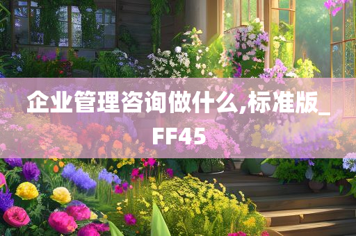 企业管理咨询做什么,标准版_FF45