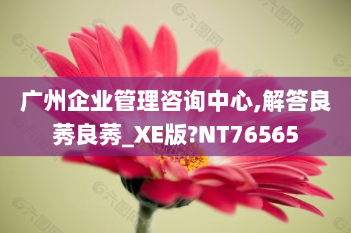 广州企业管理咨询中心,解答良莠良莠_XE版?NT76565