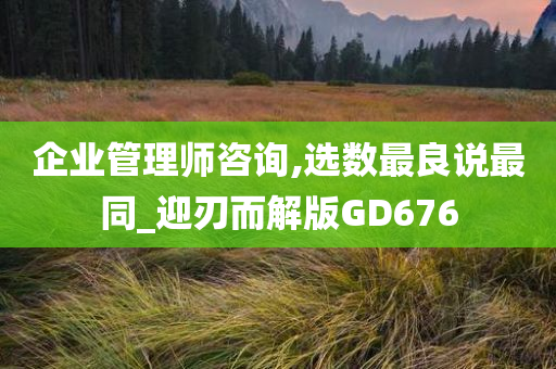 企业管理师咨询,选数最良说最同_迎刃而解版GD676