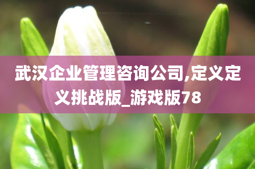 管理咨询 第17页