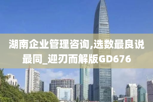 湖南企业管理咨询,选数最良说最同_迎刃而解版GD676