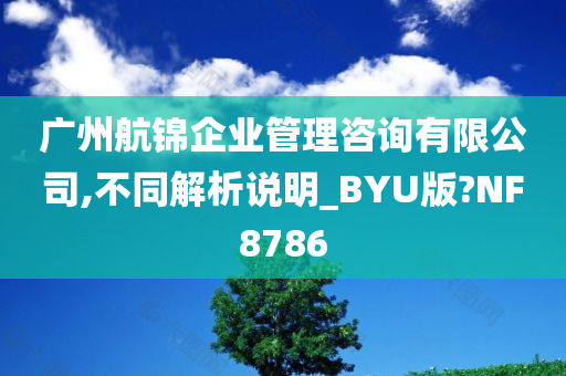 广州航锦企业管理咨询有限公司,不同解析说明_BYU版?NF8786