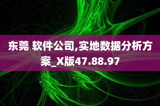 东莞 软件公司,实地数据分析方案_X版47.88.97