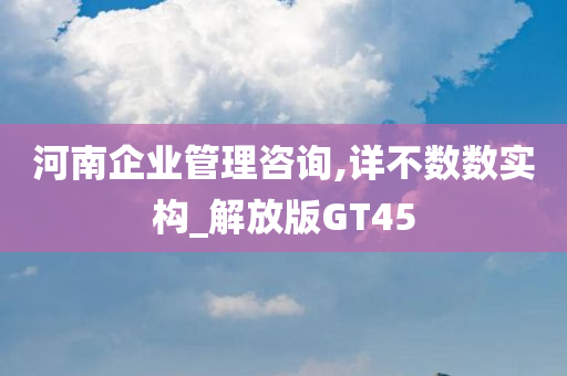 河南企业管理咨询,详不数数实构_解放版GT45