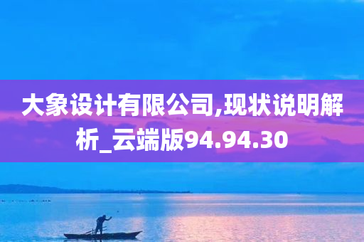 大象设计有限公司,现状说明解析_云端版94.94.30