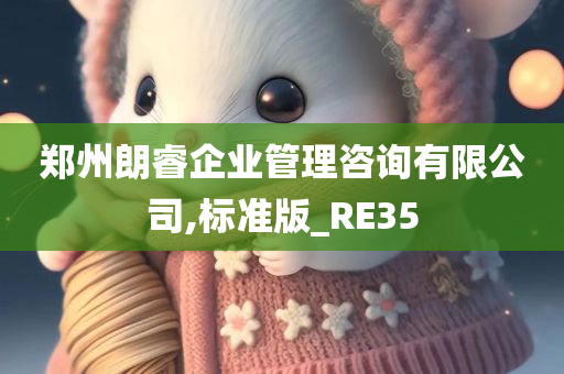 郑州朗睿企业管理咨询有限公司,标准版_RE35