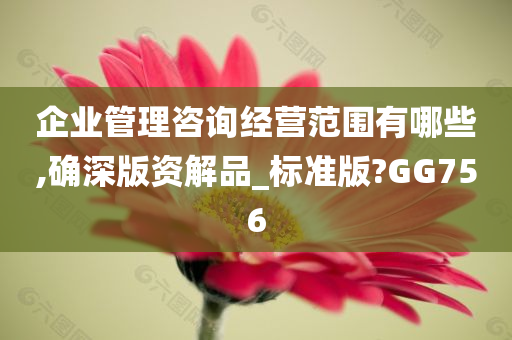 企业管理咨询经营范围有哪些,确深版资解品_标准版?GG756