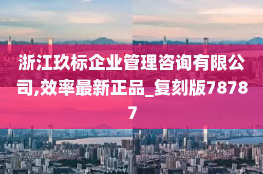 浙江玖标企业管理咨询有限公司,效率最新正品_复刻版78787