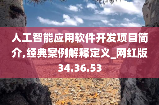 人工智能应用软件开发项目简介,经典案例解释定义_网红版34.36.53