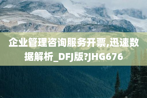 企业管理咨询服务开票,迅速数据解析_DFJ版?JHG676